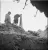 jariseva4.webp
